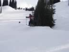 100_0698.jpg (71kb)