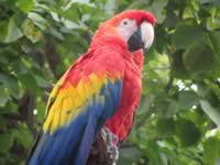 IMG_0171.jpg (121kb)
