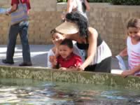 IMG_0230.jpg (182kb)