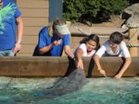 IMG_0260.jpg (182kb)