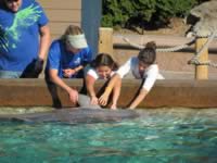IMG_0262.jpg (190kb)