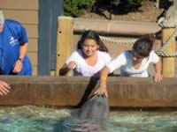 IMG_0291.jpg (163kb)